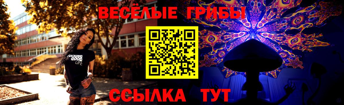 Галлюциногенные грибы Psilocybe  Вход с VPN  Миасс 